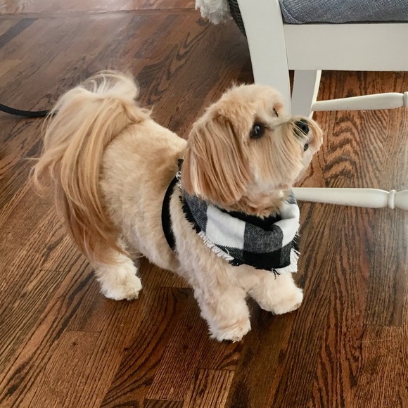 ❤️ - Picture 13 of 14